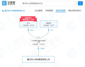 美團旗下公司拓展業務版圖，新增企業信用信息咨詢與重慶軟件開發業務
